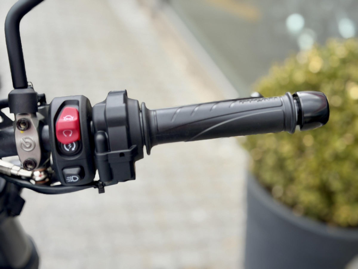 Ducati Monster