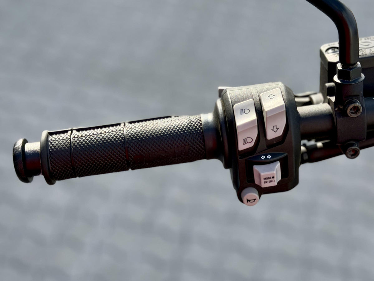 Ducati Scrambler Desert Sled Fasthouse